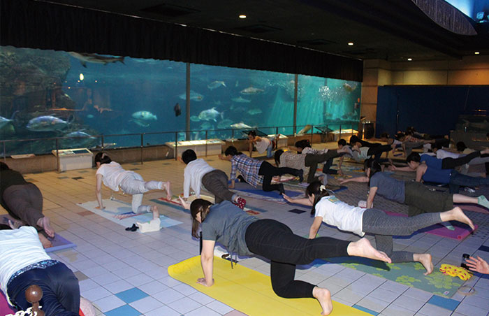 水族館ヨガ